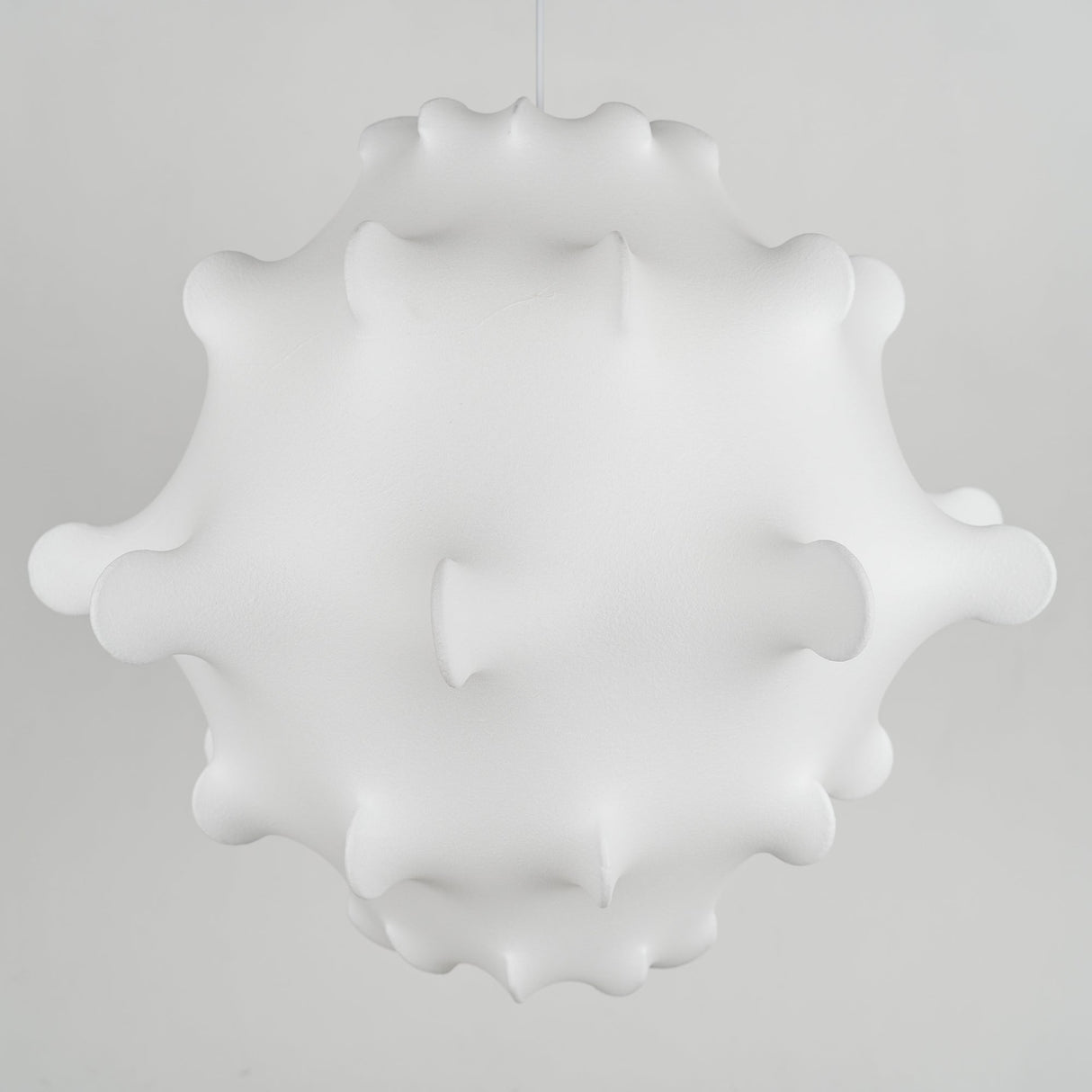 Taraxacum Suspension Lamp