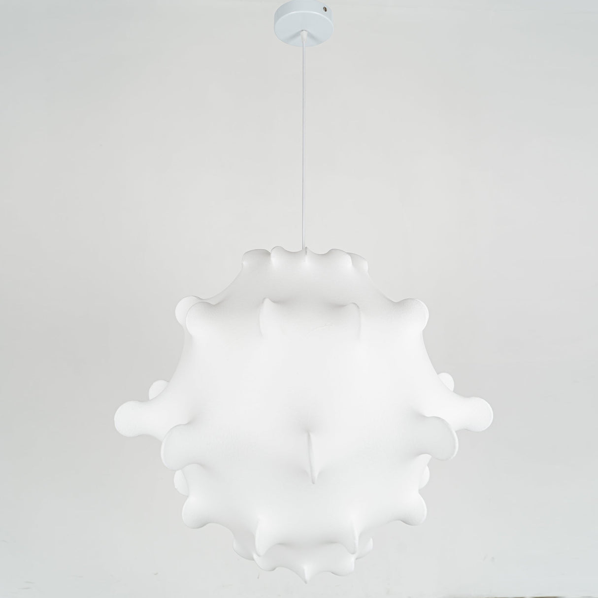 Taraxacum Suspension Lamp