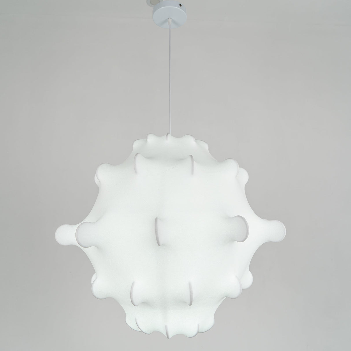 Taraxacum Suspension Lamp