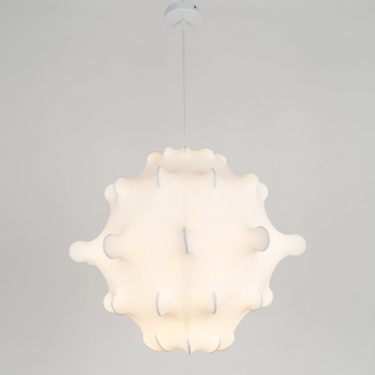 Taraxacum Suspension Lamp