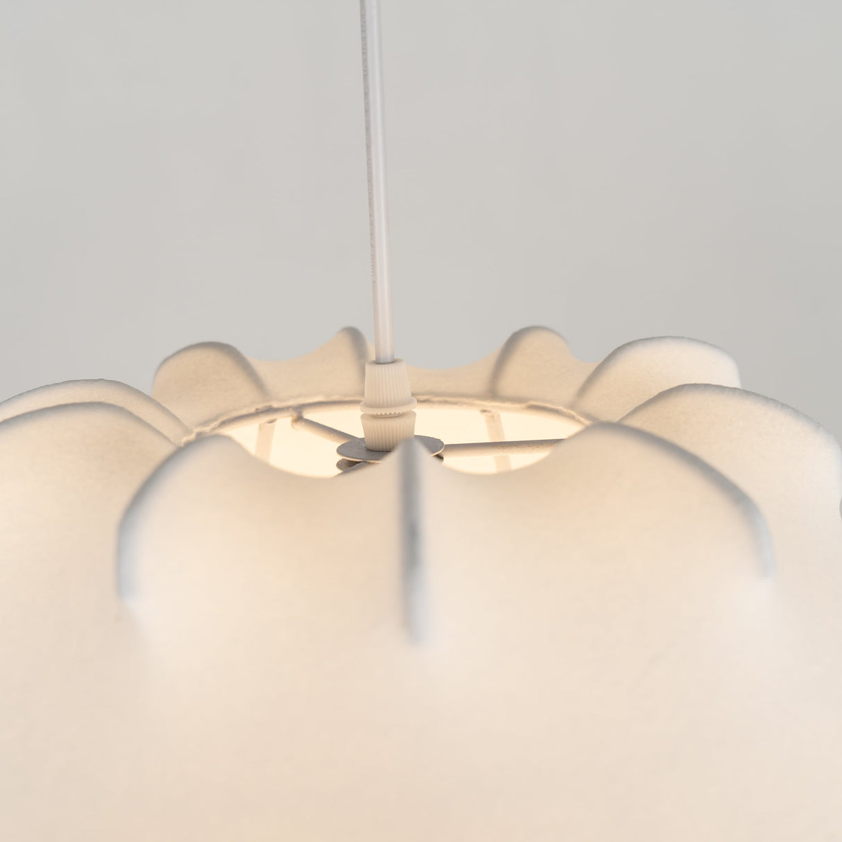 Taraxacum Suspension Lamp