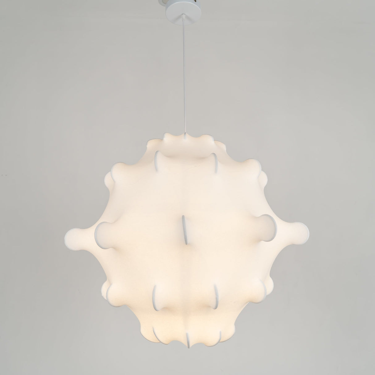Taraxacum Suspension Lamp