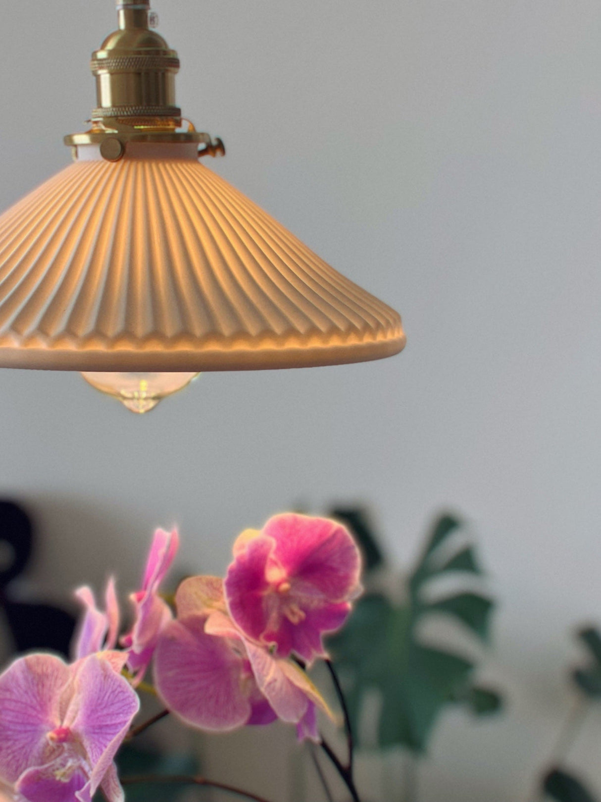 Walnut Telescopic Wall Lamp