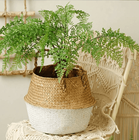 Seagrass Wicker Basket