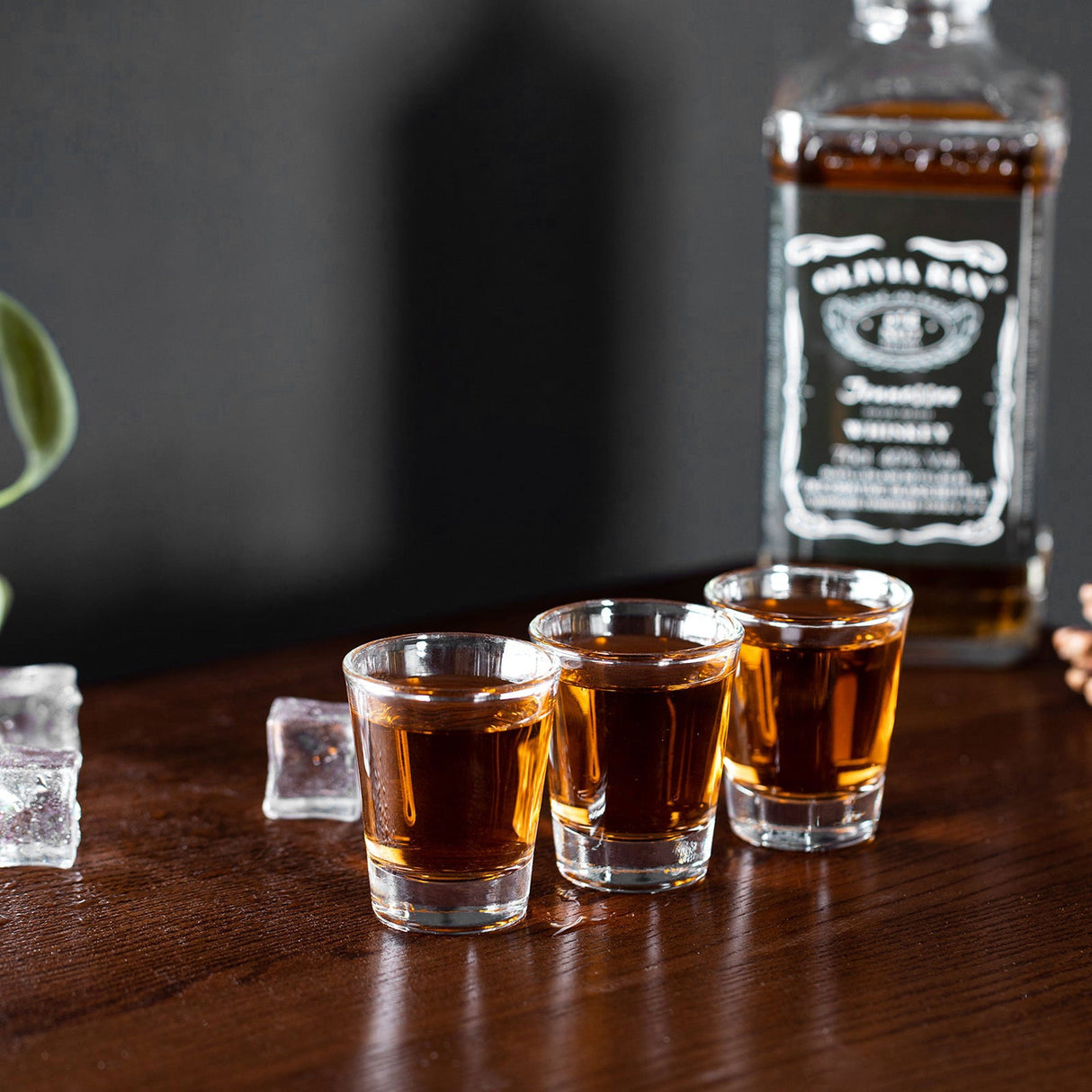 Heavy Based Shot Glasses Set
