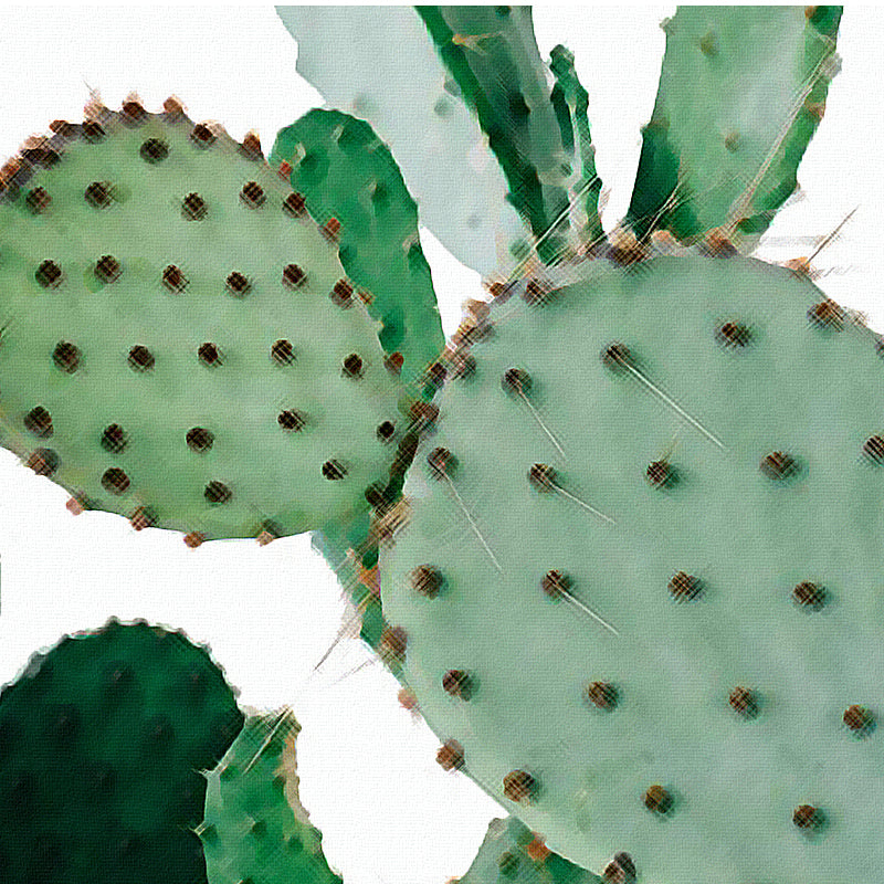 Cactus Plant Wall Art Canvas Decorative Pictures Poster Print Wall Art Room Decor