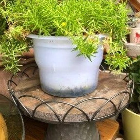 Danica Metal Dessert Plate