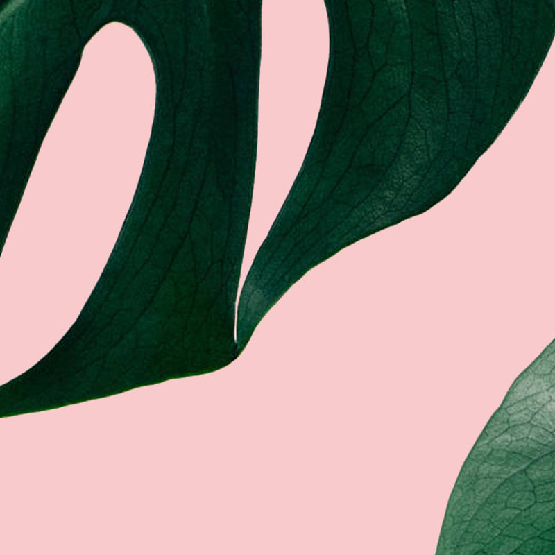 Pink Green Plant Wall Art Canvas Decorative Pictures Poster Print Wall Art Room Decor