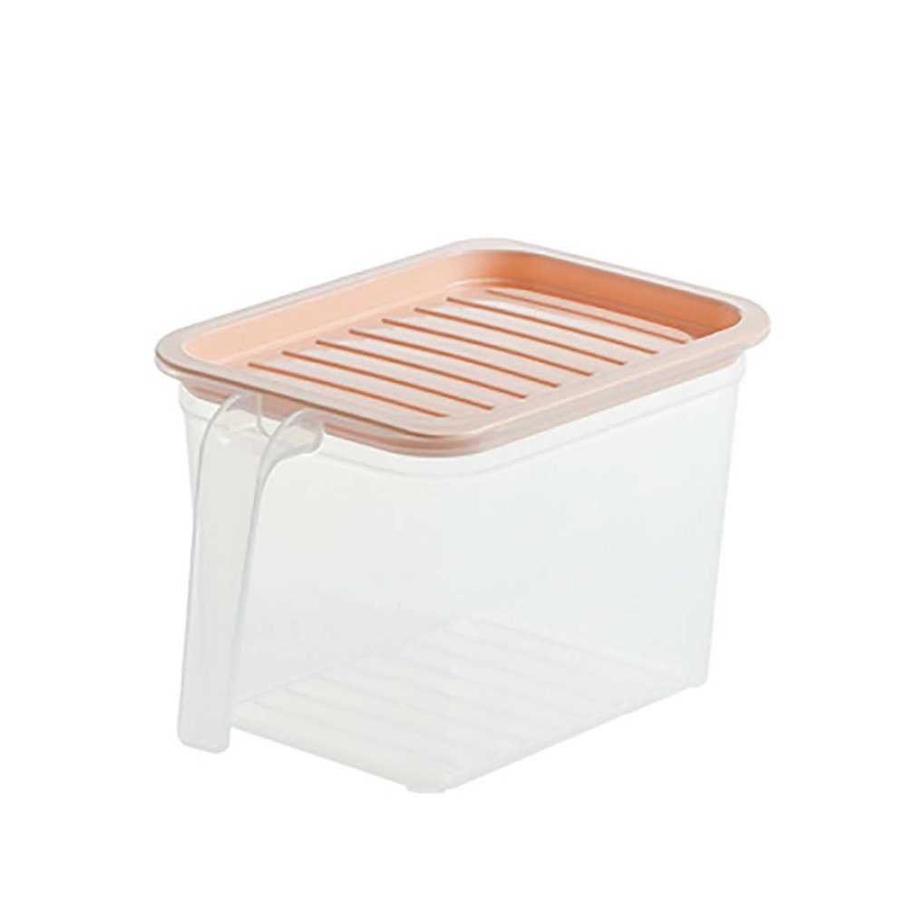 Pastel Transparent Food Storage Box