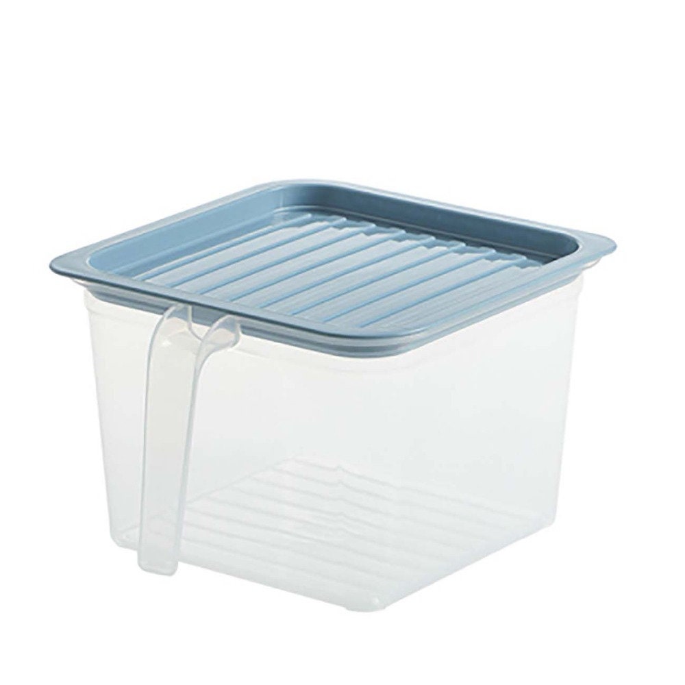 Pastel Transparent Food Storage Box