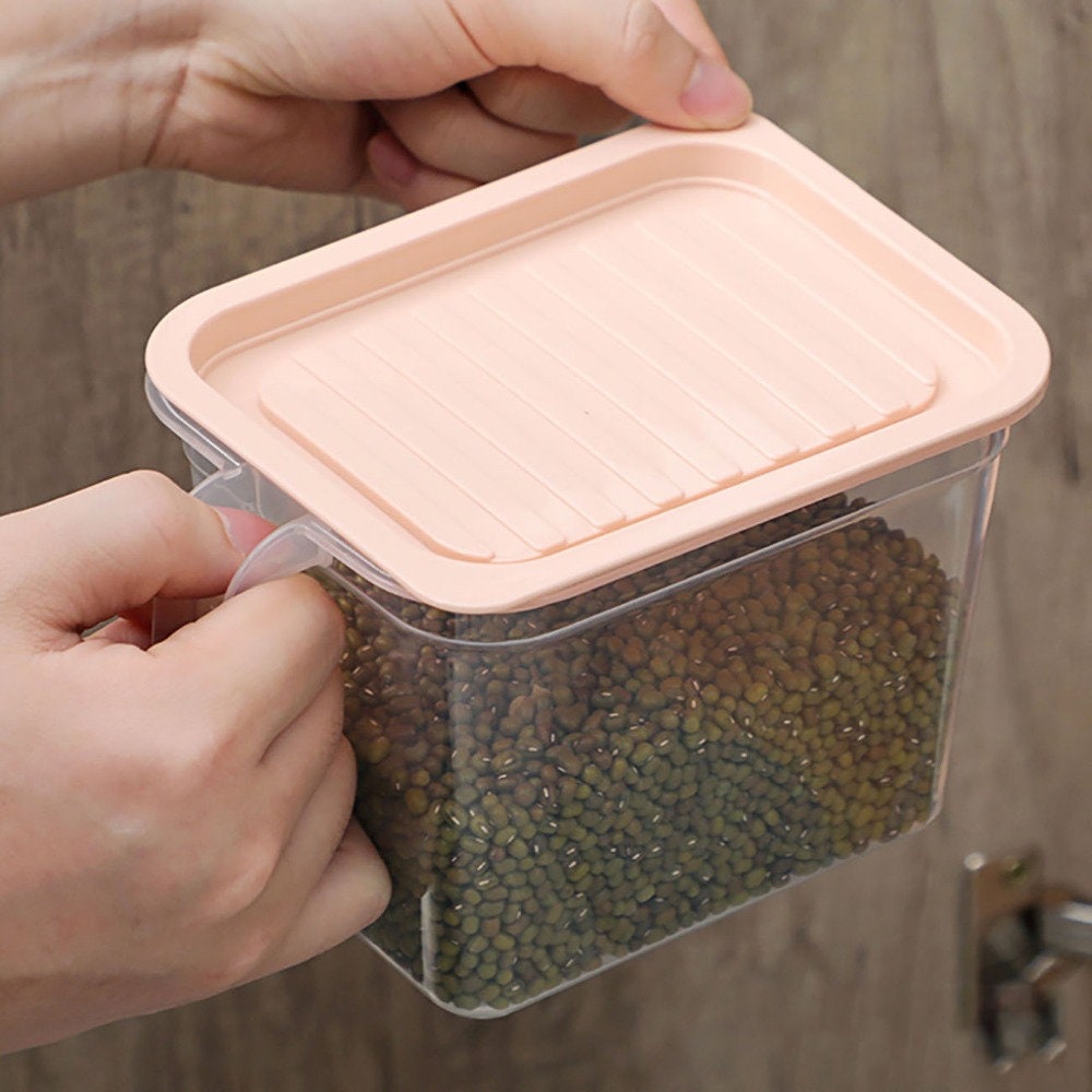 Pastel Transparent Food Storage Box