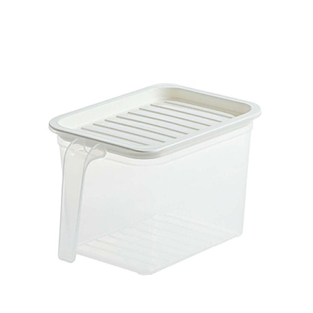 Pastel Transparent Food Storage Box