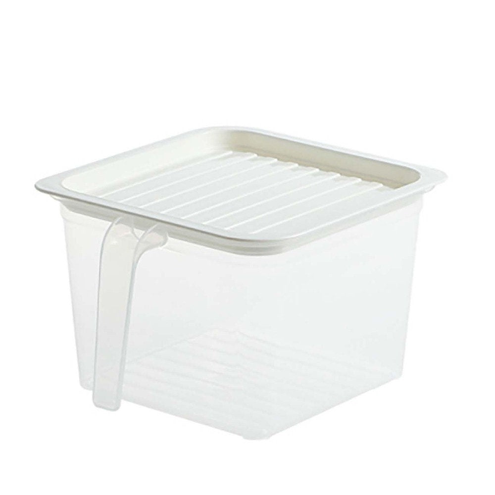 Pastel Transparent Food Storage Box