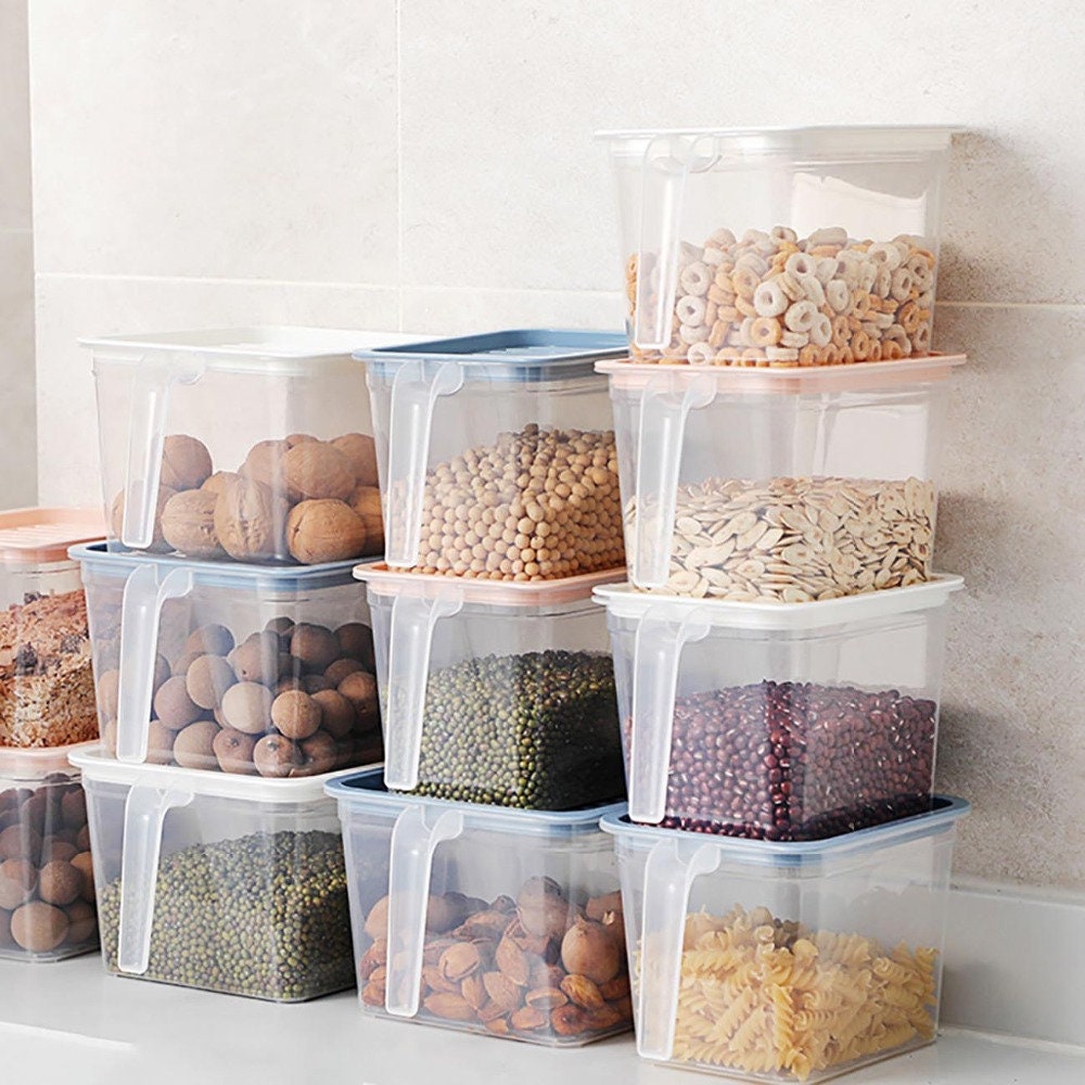 Pastel Transparent Food Storage Box