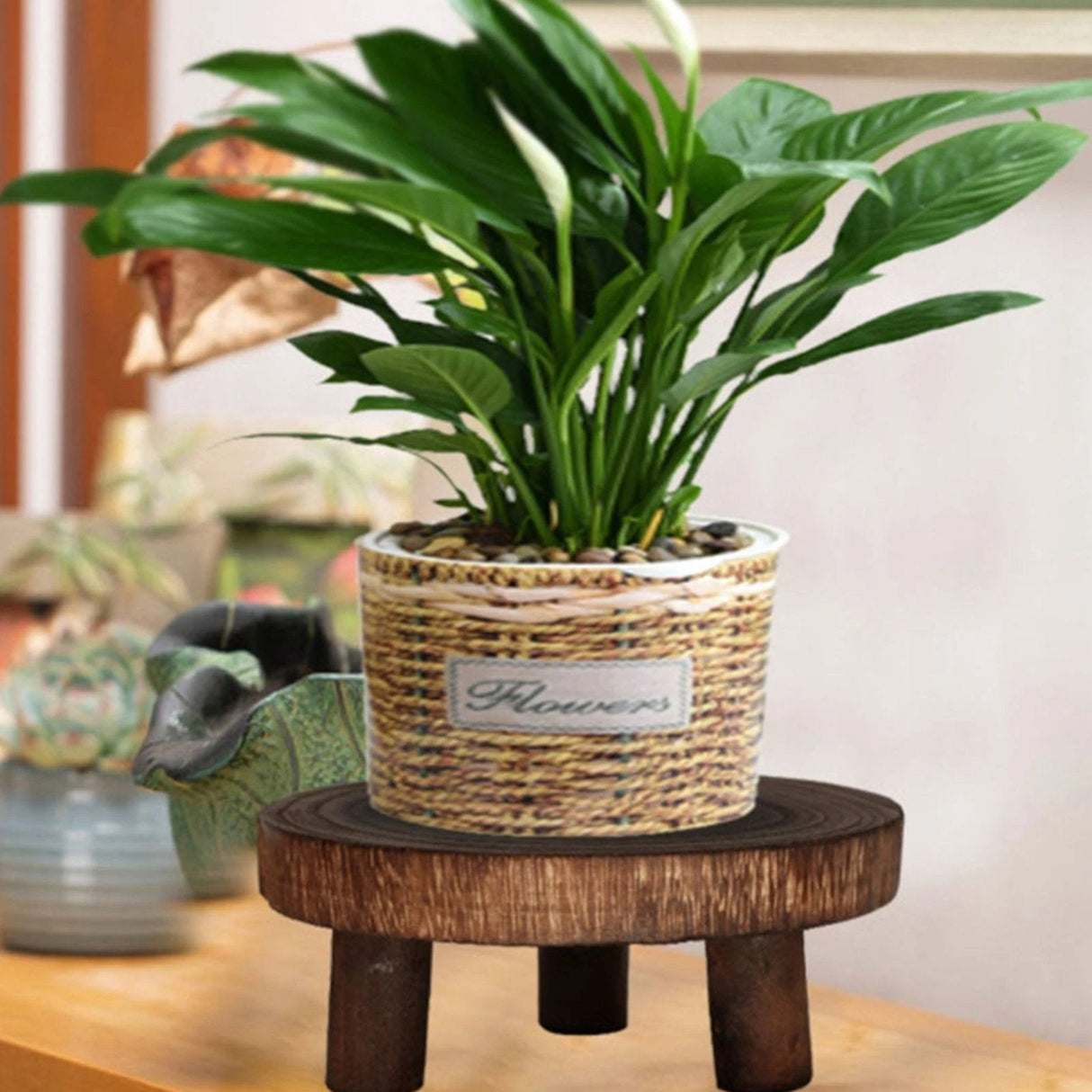 Petra Wood Plant Stands