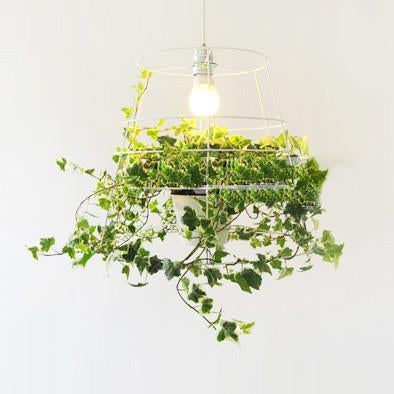 Hanging Plant Cage Pendant Light