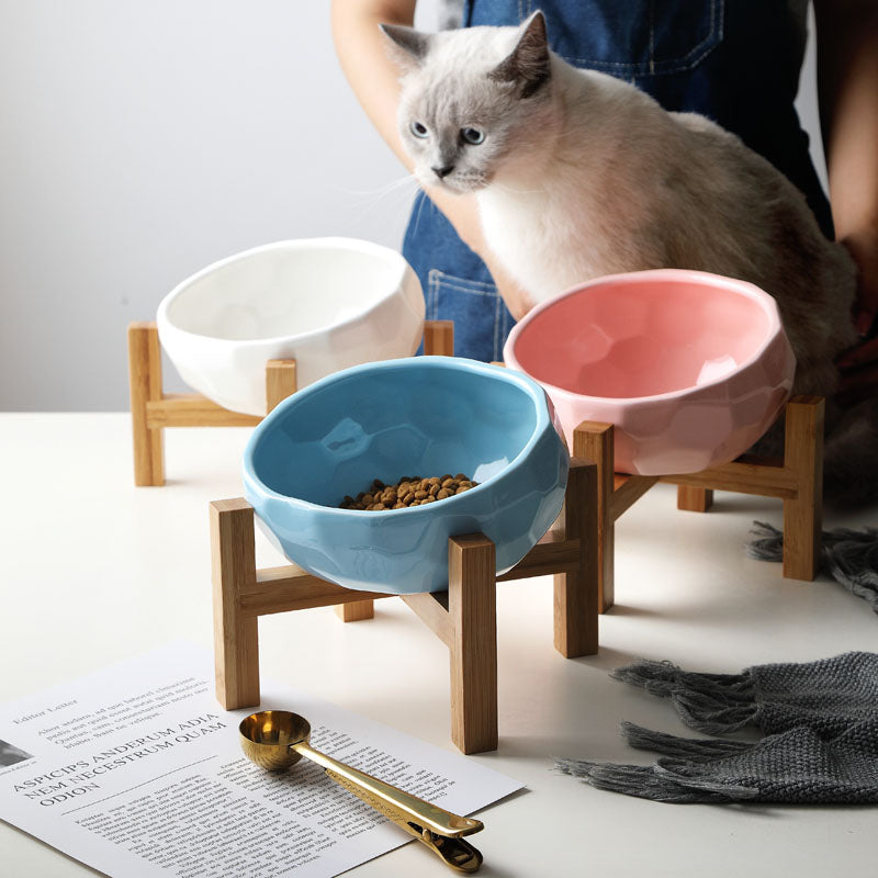The Faceted Gem Ceramic Pet Food Bowl