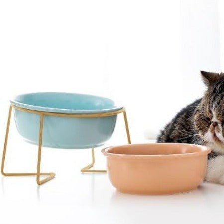 The Colorful Minimalist Pet Food Bowl