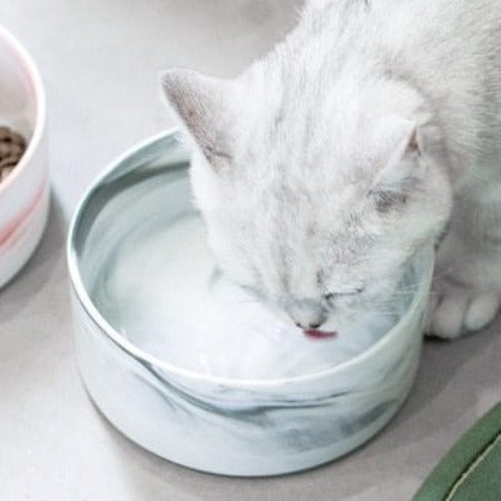 The Midcentury Marble Pet Food Bowl