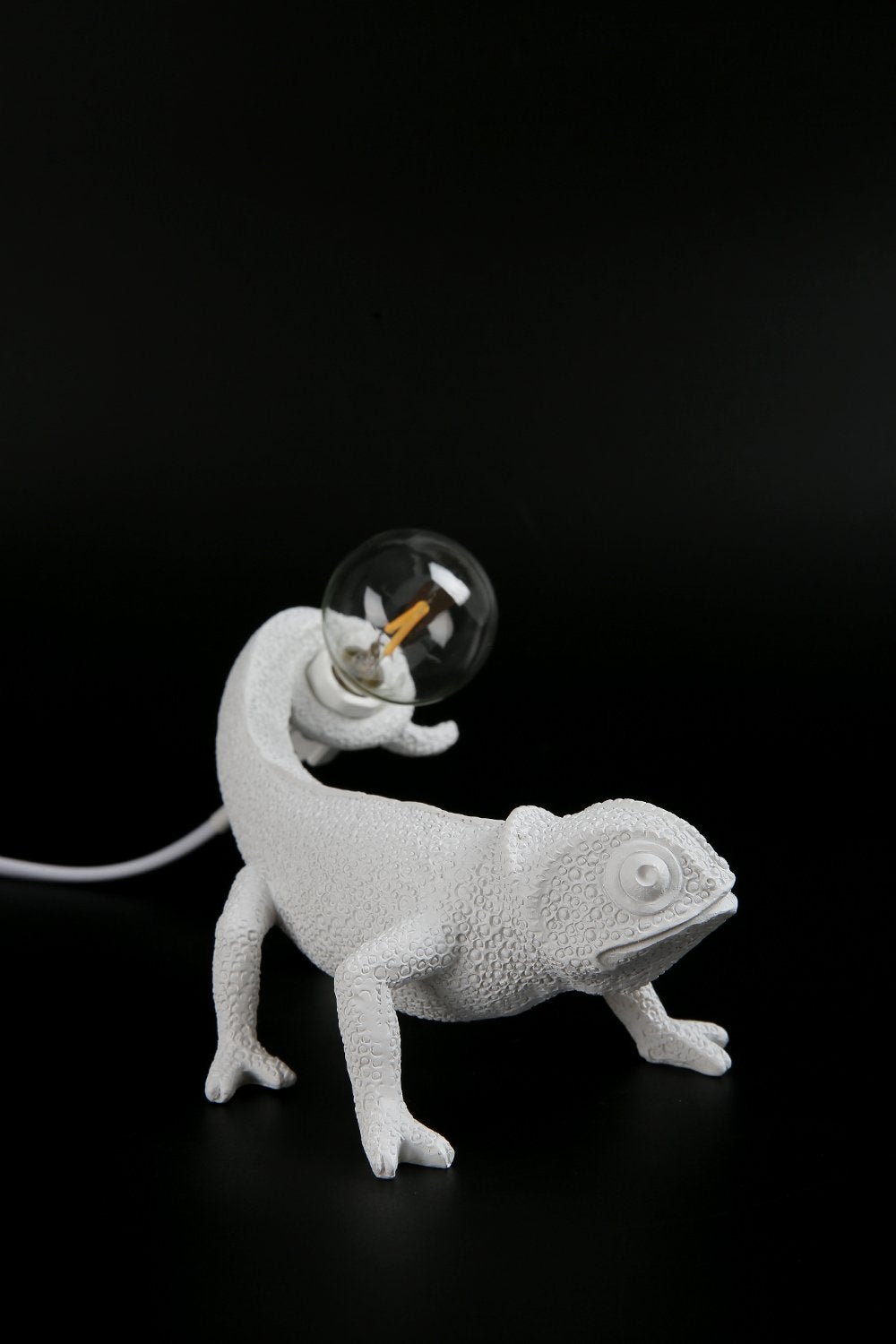 Chameleon - Modern Table Lamp