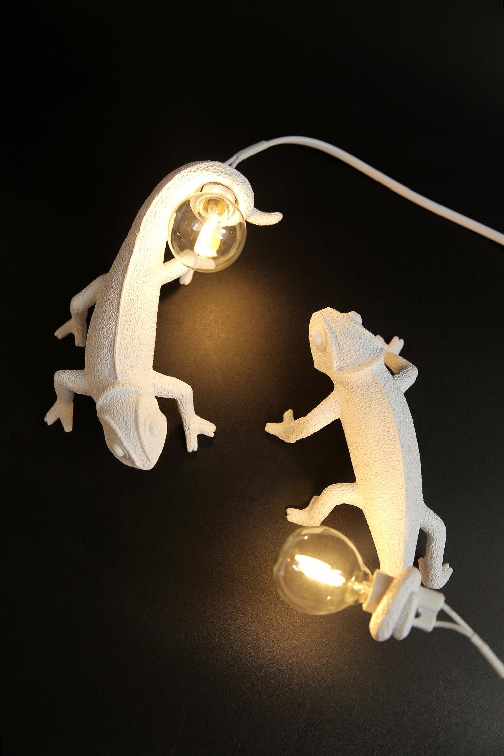 Chameleon - Modern Table Lamp