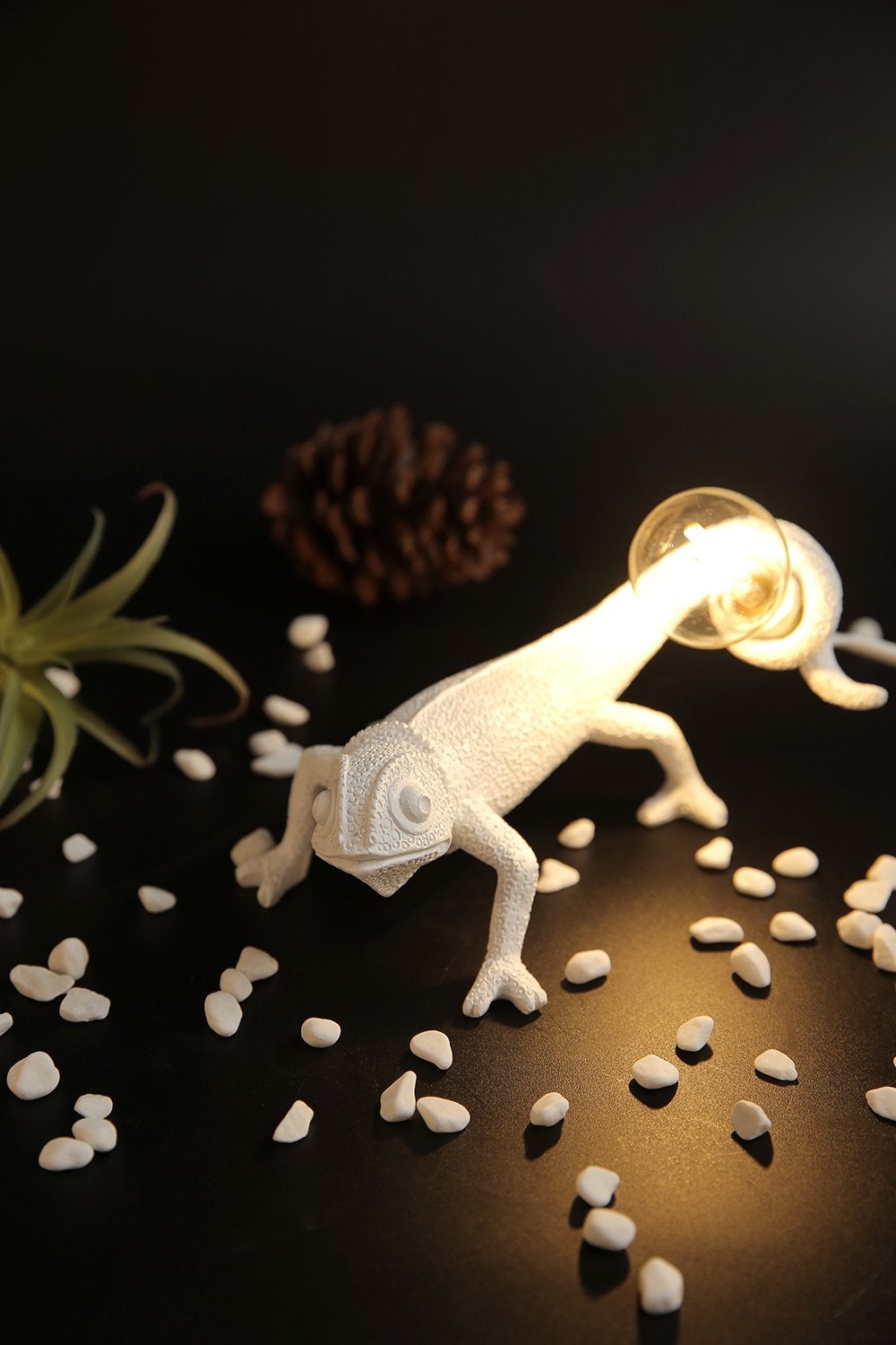 Chameleon - Modern Table Lamp