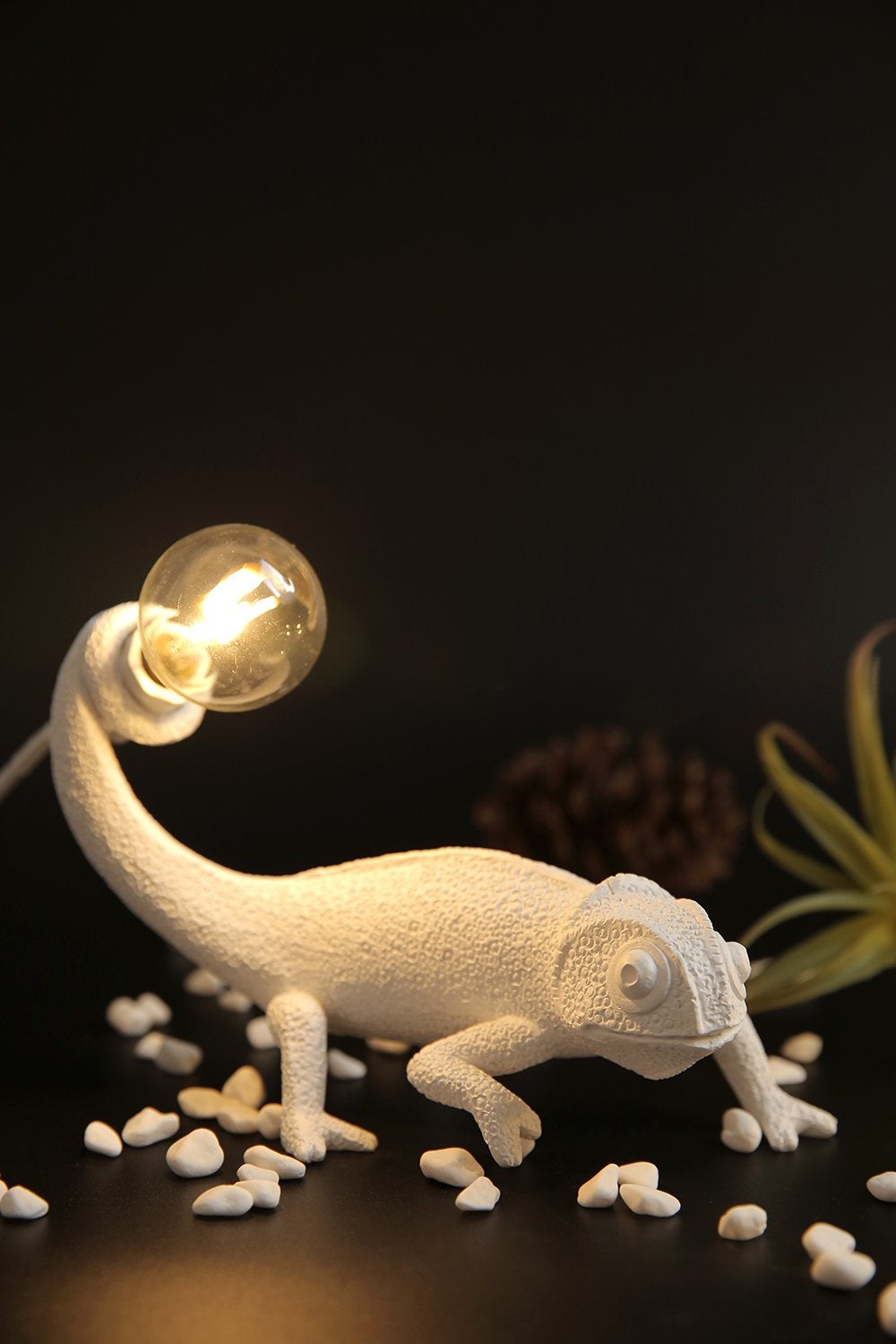 Chameleon - Modern Table Lamp
