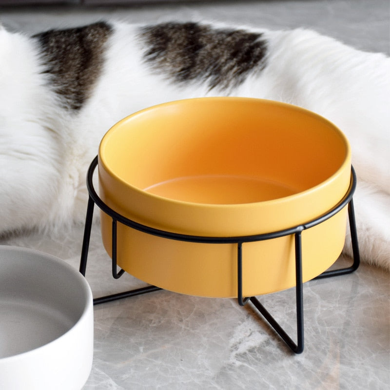 The Essential Elevated Pet Food Bowl