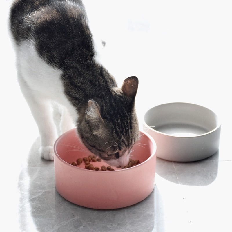 The Essential Elevated Pet Food Bowl