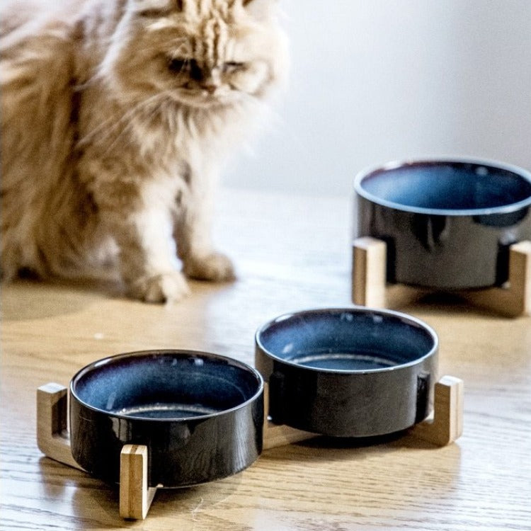 The Mystic Mountain Ceramic Pet Food Bowl with Stand