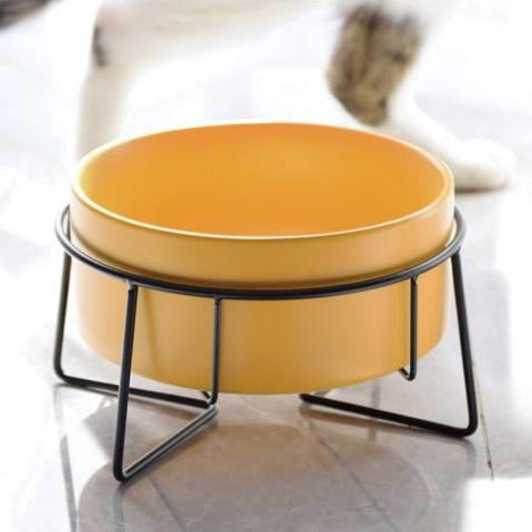 The Essential Elevated Pet Food Bowl