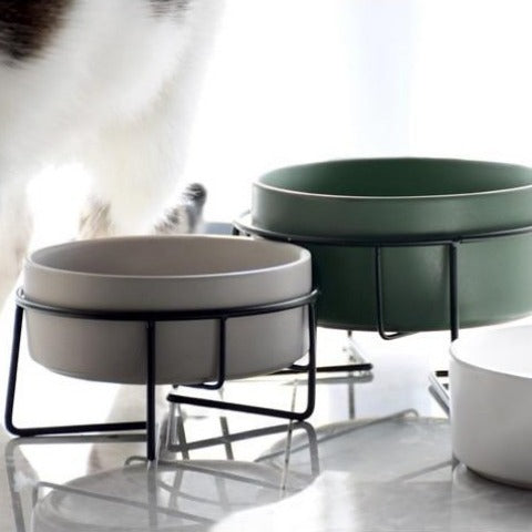 The Essential Elevated Pet Food Bowl