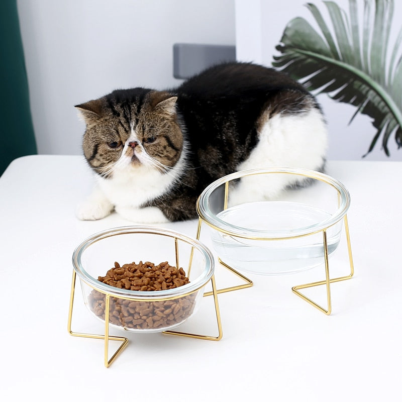The Minimalist Pet Food Bowl and Stand