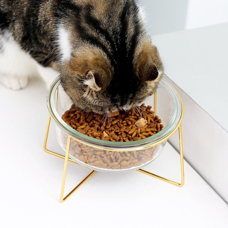 The Minimalist Pet Food Bowl and Stand