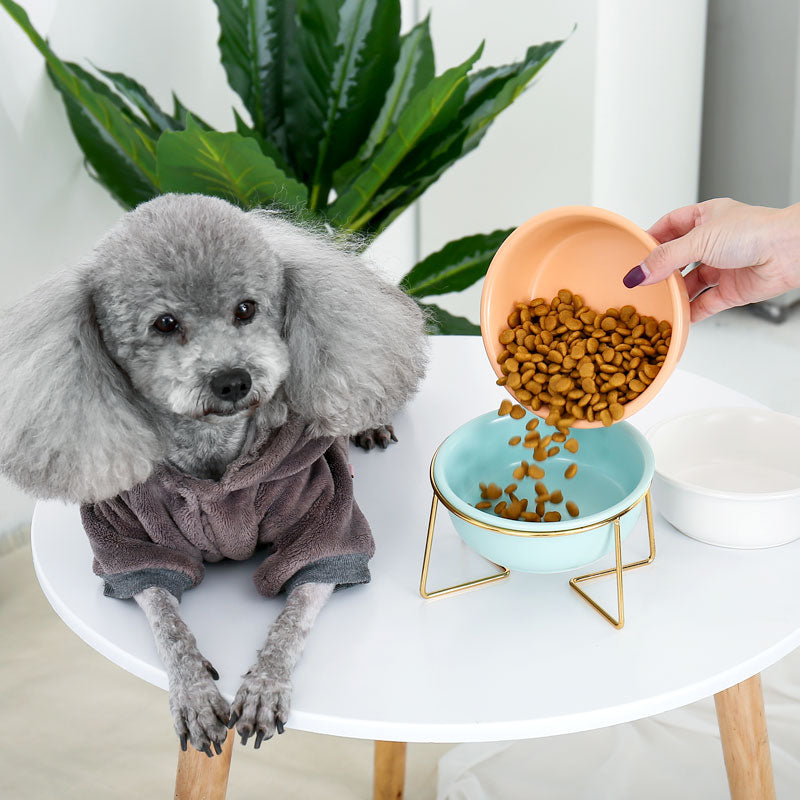 The Colorful Minimalist Pet Food Bowl