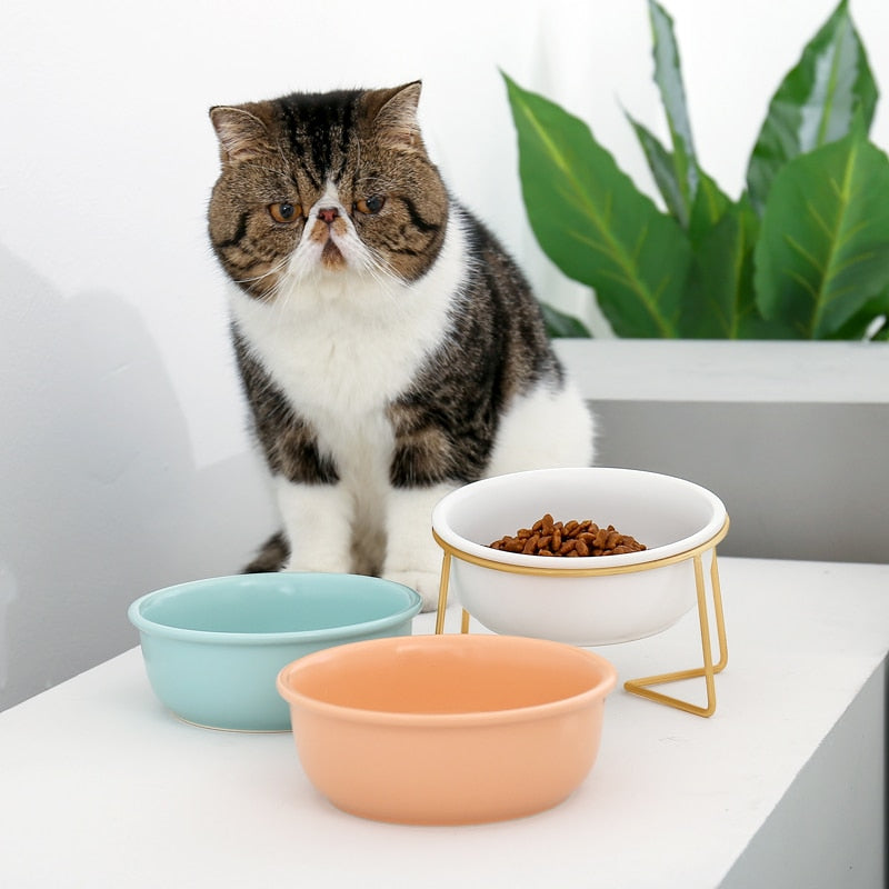 The Colorful Minimalist Pet Food Bowl