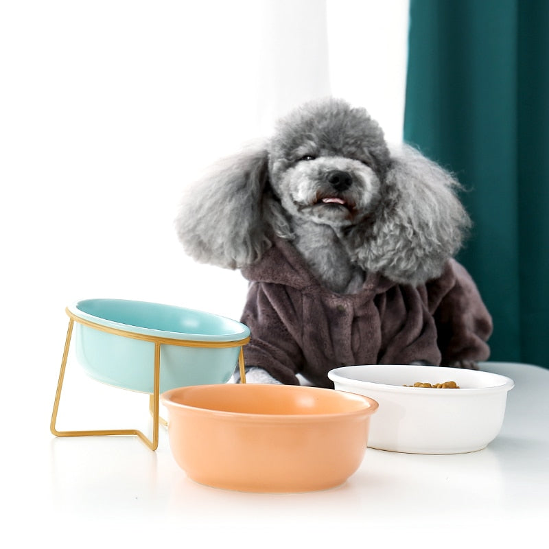 The Colorful Minimalist Pet Food Bowl