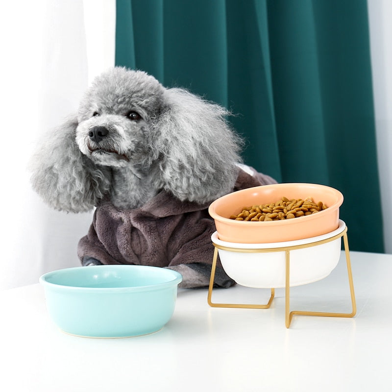 The Colorful Minimalist Pet Food Bowl