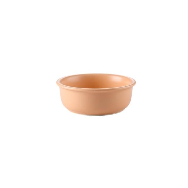 The Colorful Minimalist Pet Food Bowl