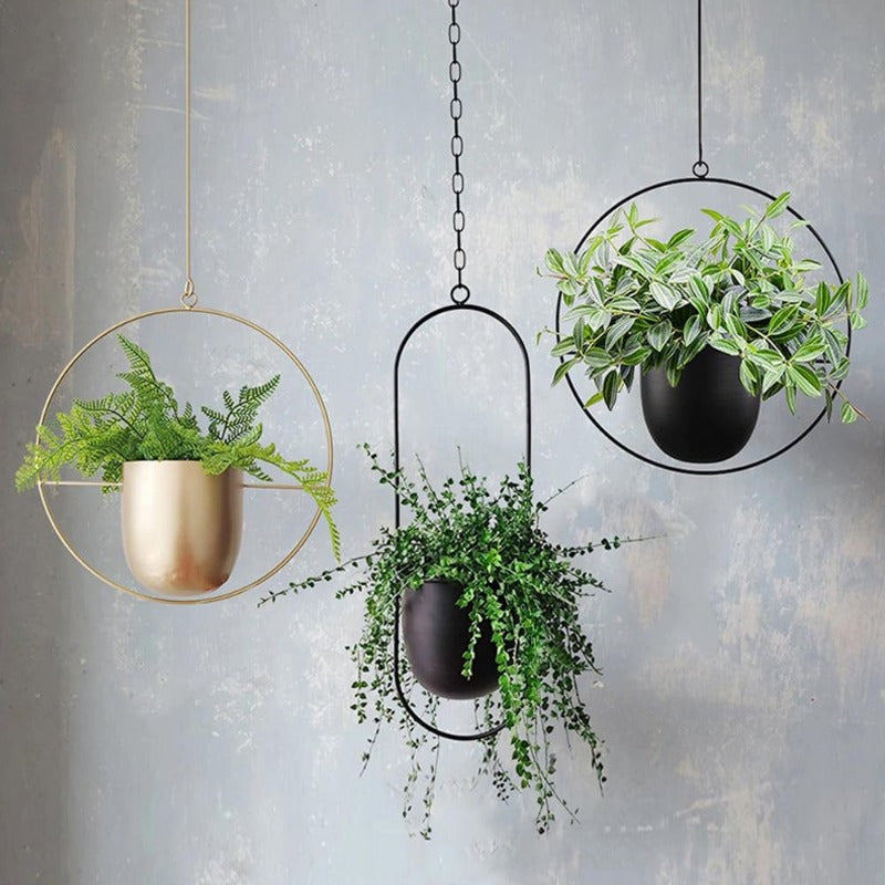 The Lyra Hanging Plant Pot Collection