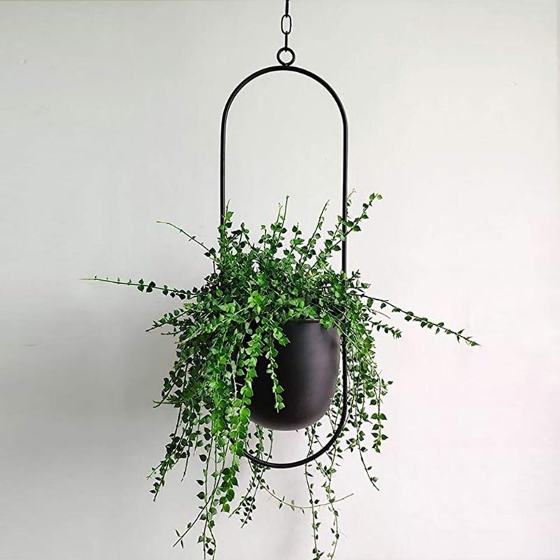The Lyra Hanging Plant Pot Collection