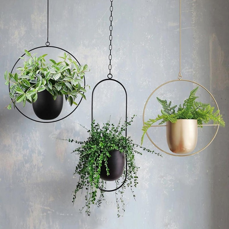 The Lyra Hanging Plant Pot Collection