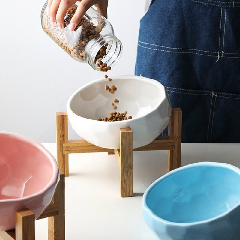 The Faceted Gem Ceramic Pet Food Bowl