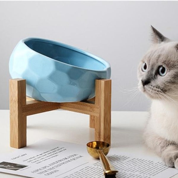 The Faceted Gem Ceramic Pet Food Bowl