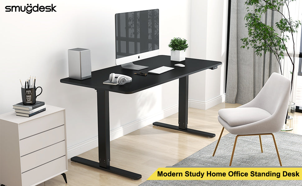 Electric Standing Desk Height Adjustable Desk, 48 x 24 Inches Computer Desk for Workstation Home Office Table Sit Stand Desk