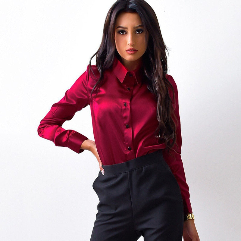 Elegant Satin Turn Down Collar Office Blouse