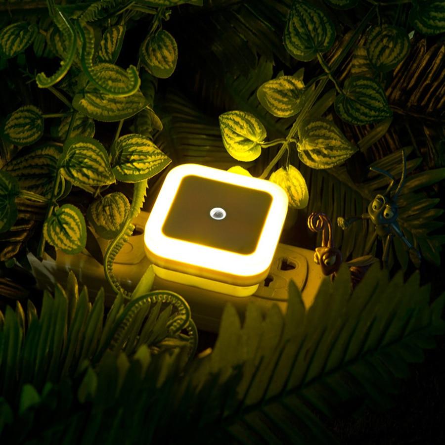 12 PCS LED Night Lights