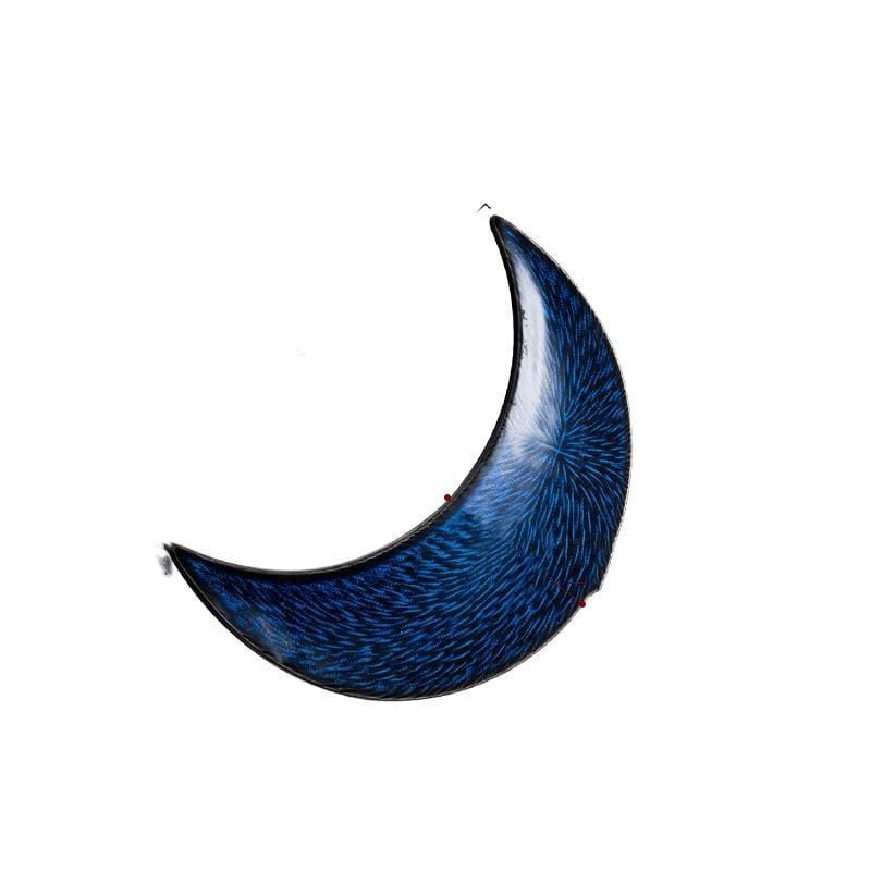 Moon Shaped Sushi Plate