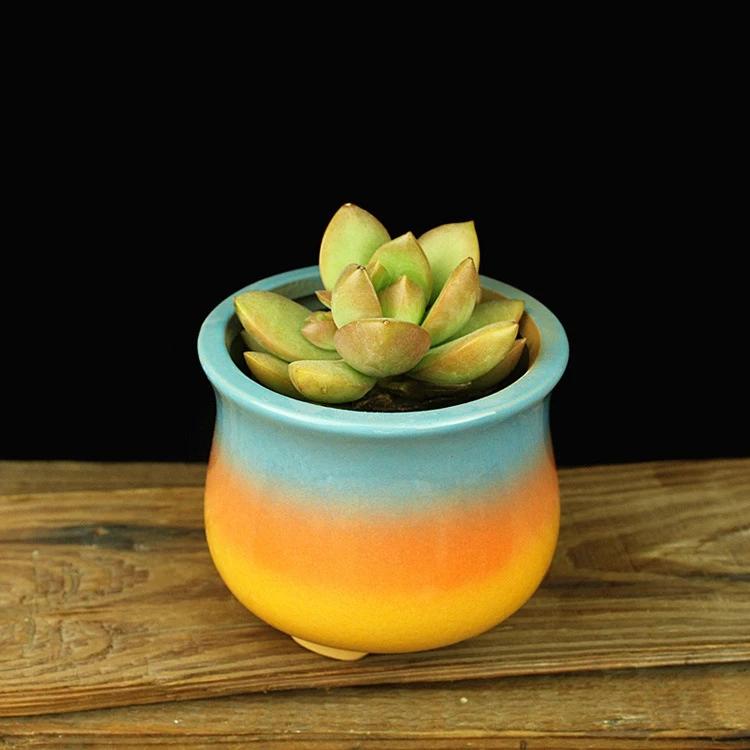 Sunset Pots