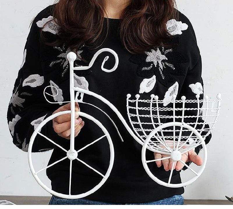 Bicycle Hanging Flower Basket